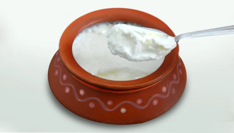 Matka dahi